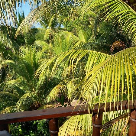 Iguana Libre Hotel Dominical Eksteriør billede