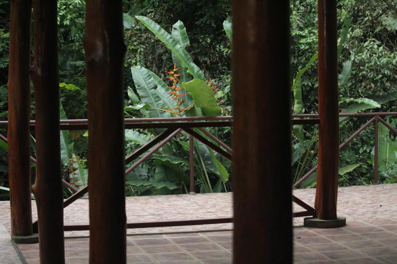 Iguana Libre Hotel Dominical Eksteriør billede
