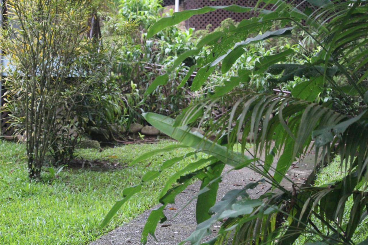 Iguana Libre Hotel Dominical Eksteriør billede