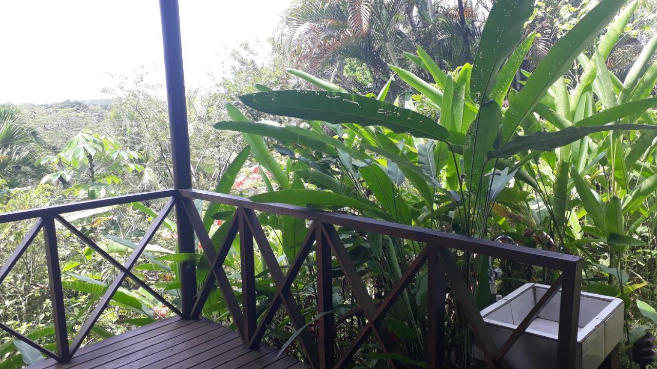 Iguana Libre Hotel Dominical Eksteriør billede